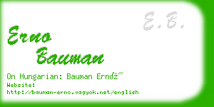 erno bauman business card